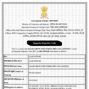 IE Code Modification